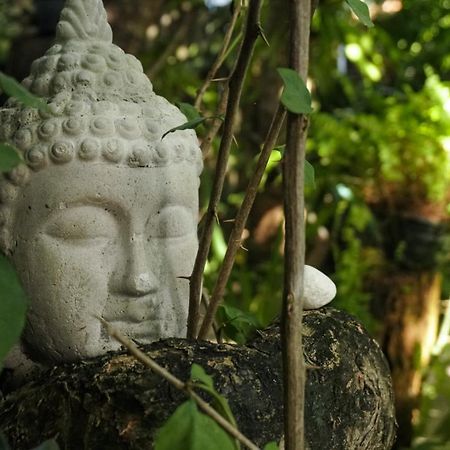 Pousada Zen Caraíva Dış mekan fotoğraf